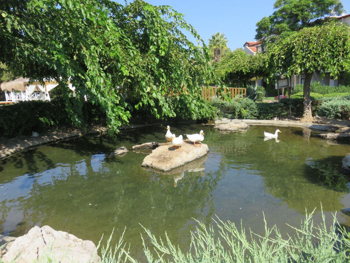 imagini hotel CLUB TUANA